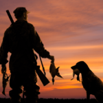 What are the Best Hunting Dog Breeds
