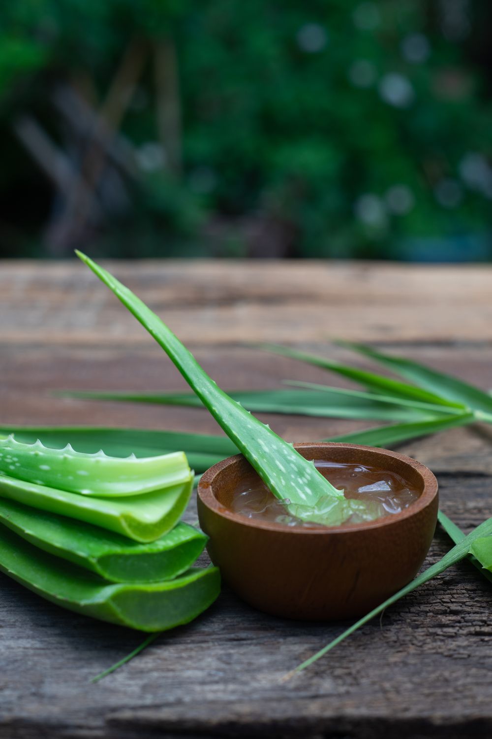 Aloe Vera is the King of Home Remedies