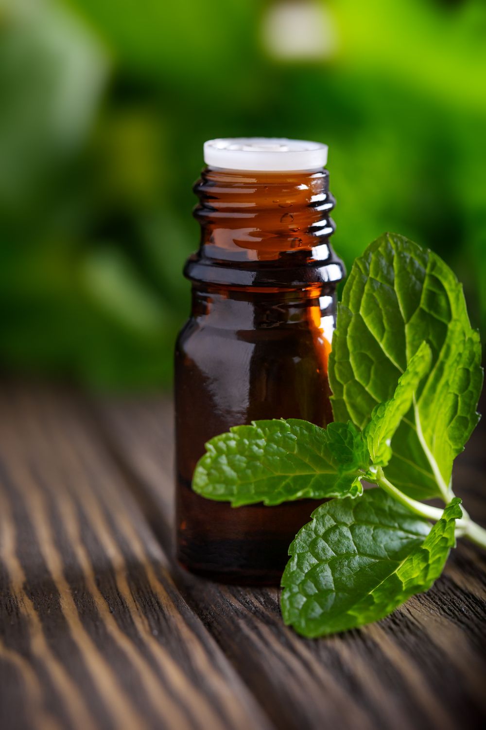 Peppermint Oil is Great for Removing Hickeys