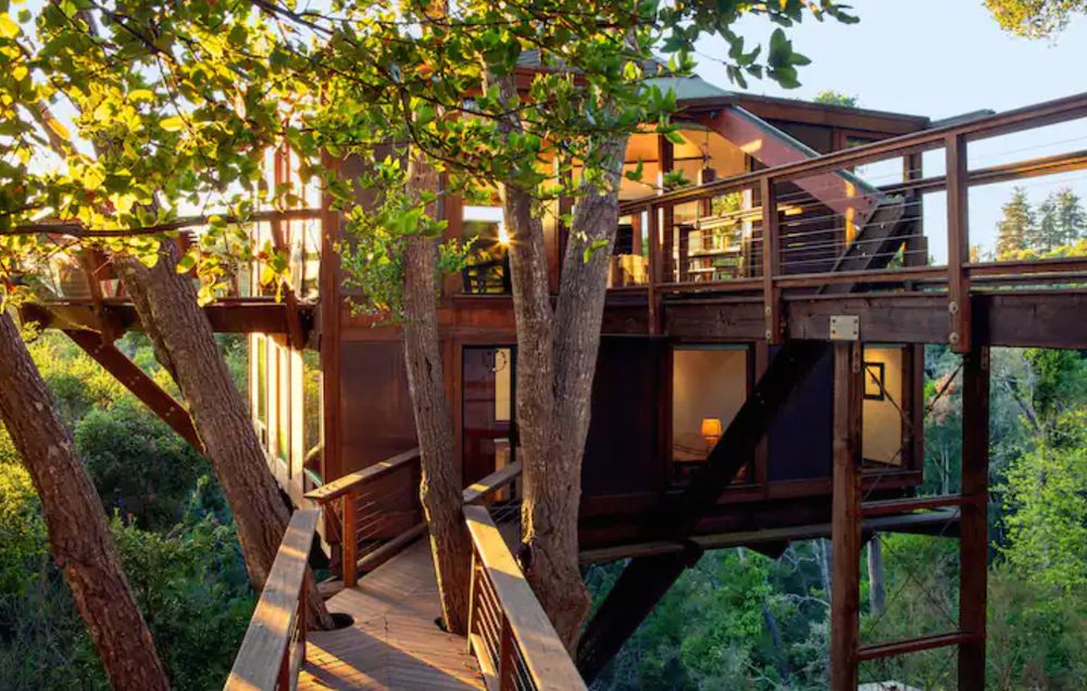 A Luxury Treehouse with Sea Views