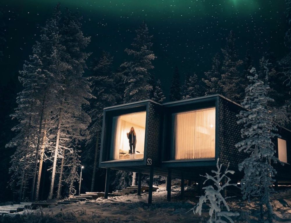 Tree houses in the Artic