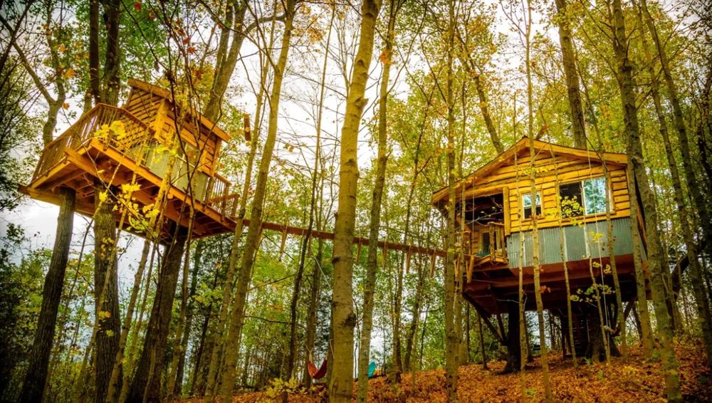 Treehouse Rentals With a Wraparound Deck