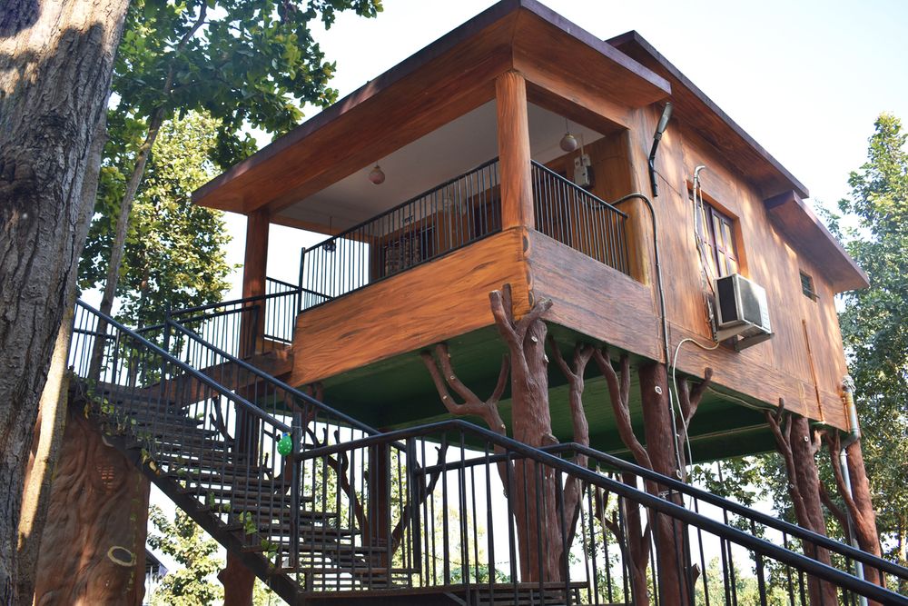 Who Wouldn't Want a Tree House