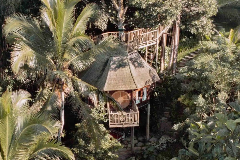 You'll Love Staying in this Tree House