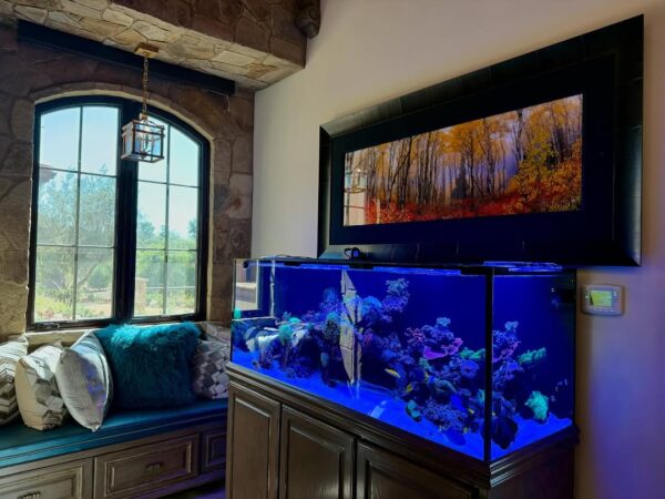 25 Fish Tank Living Room Ideas So Bold, You’ll Forget There’s a TV