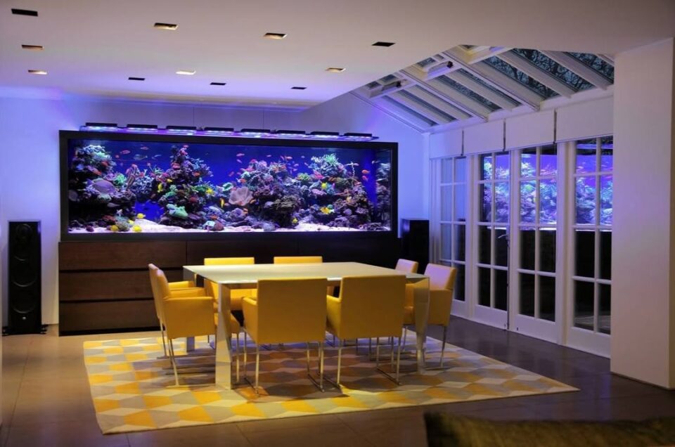 Fishtanklive 25 Fish Tank Living Room Ideas So Bold, You’ll Forget There’s a TV