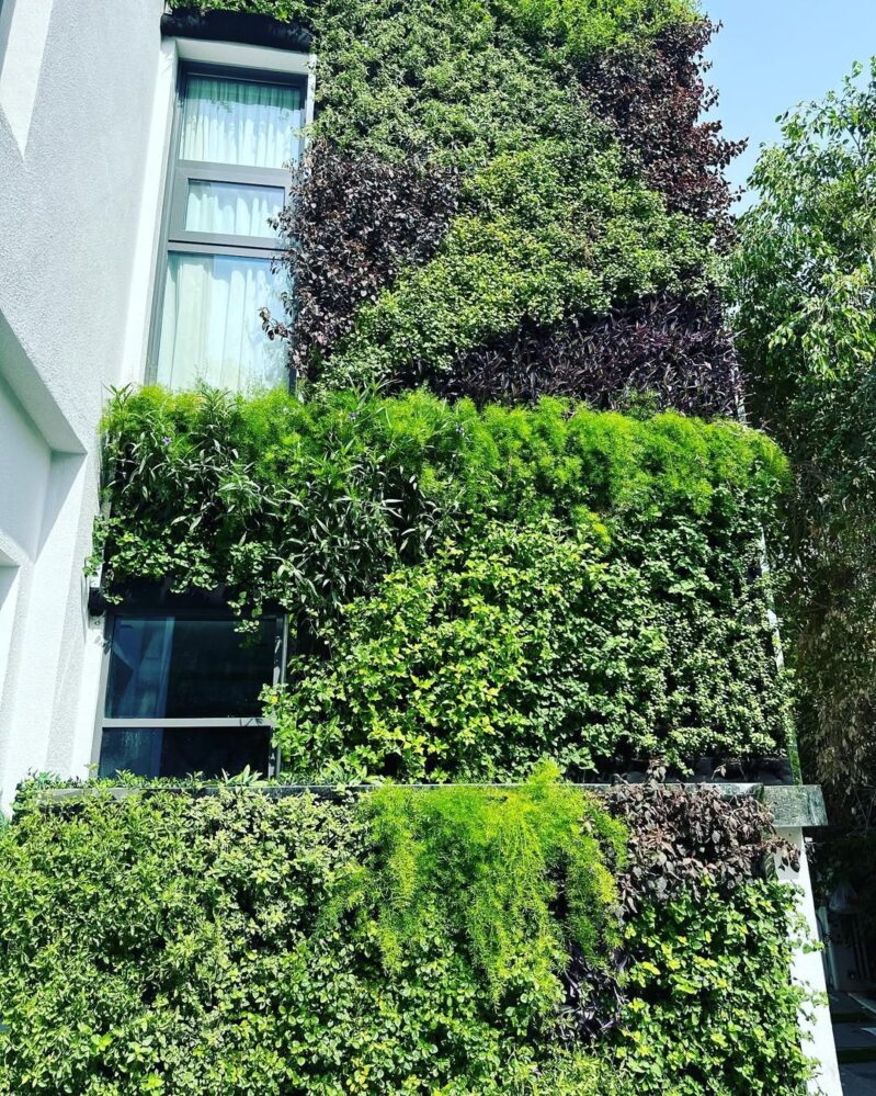 31 Inspiring Vertical Garden Ideas That Transform Bare Walls Instantly