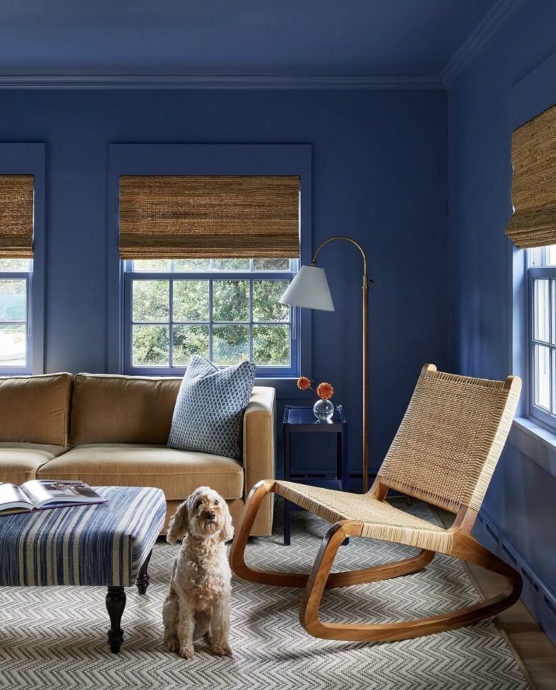 28 Gray And Blue Living Room Ideas for 2026 Already Getting Saved By ...