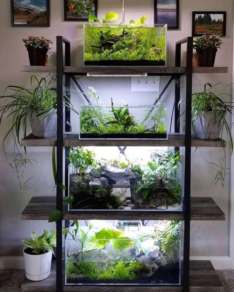 27 Fish Tank Living Room Ideas for 2026 Not Every Living Room Is Ready ...