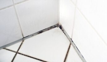 Grout turns grey and moldy for one reason