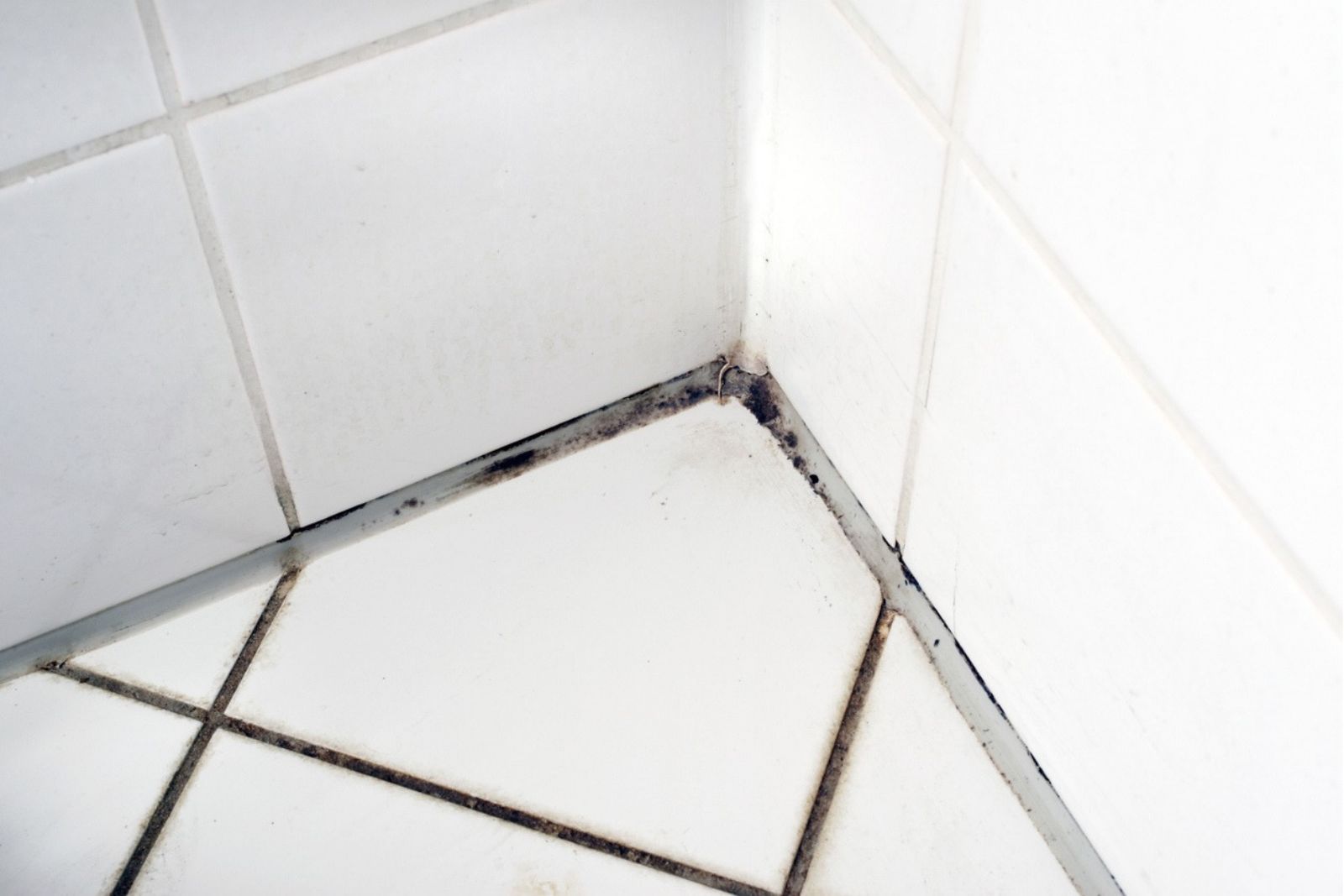 Grout turns grey and moldy for one reason