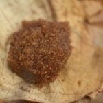 Tiny Egg Clusters In The Yard Can Mean Ticks
