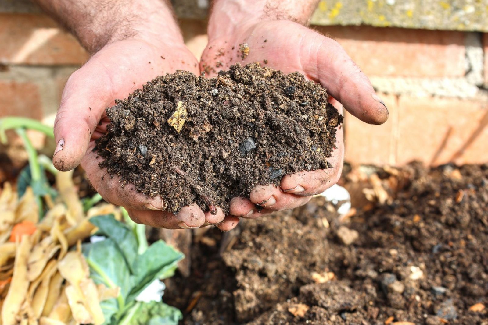 Wood Ash Is Free Fertilizer For The Garden