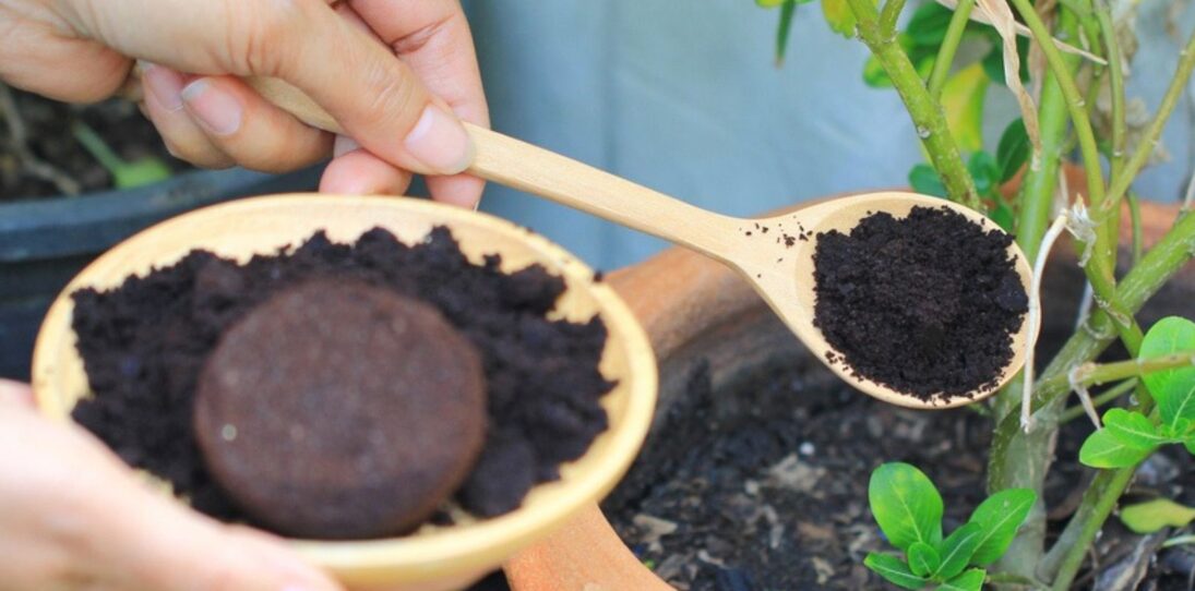 offee Grounds Form A Waterproof Crust On Soil