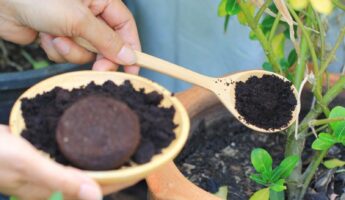 offee Grounds Form A Waterproof Crust On Soil