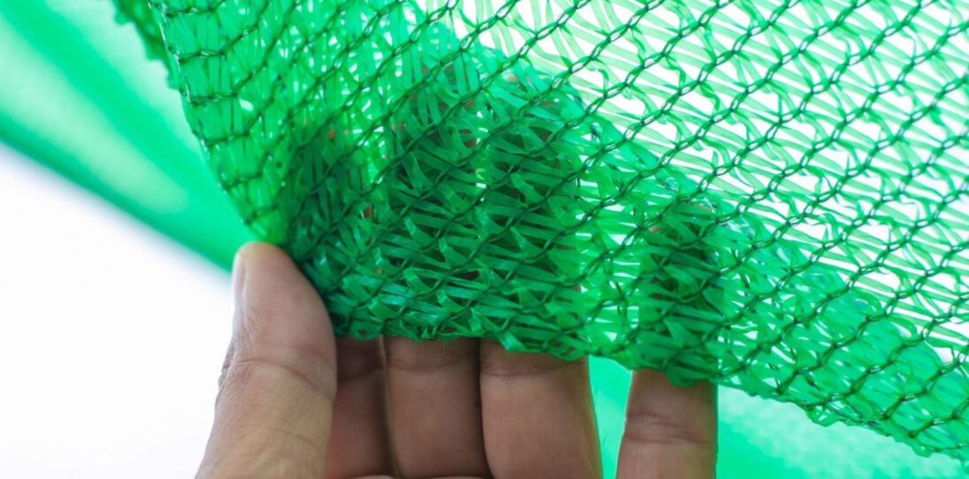 A Green Privacy Screen Is A Mistake
