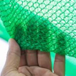 A Green Privacy Screen Is A Mistake