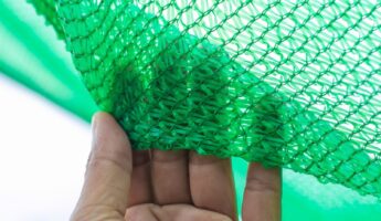 A Green Privacy Screen Is A Mistake