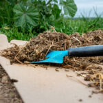 Gardeners are covering their beds with cardboard this fall
