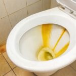 Cleaning Experts Share A Simple Trick