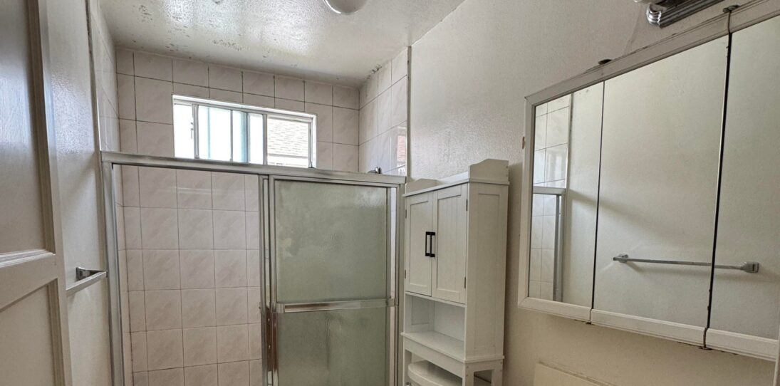 She rebuilt her 1990s bathroom around the movie My Neighbor Totoro: now it looks like a luxury spa