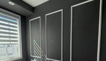 Dark charcoal home office wall with three tall white panel moldings on the back wall, a window with zebra blinds and white casing on the left, a white ceiling edge above, and sunlight casting diagonal shadow stripes across one panel.