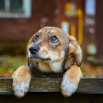 iStock @Alexander Kuzmin