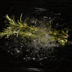 Boiling rosemary and cloves at home: why they recommend doing it and what it’s for