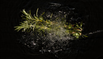 Boiling rosemary and cloves at home: why they recommend doing it and what it’s for