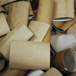Gardeners are saving empty toilet paper rolls this fall: here’s what they do by spring