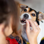 iStock @WhiteTea