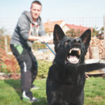 iStock @ Chalabala