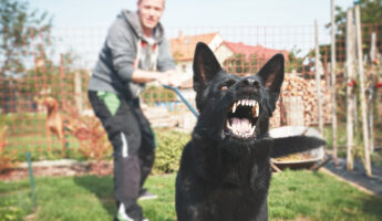 iStock @ Chalabala