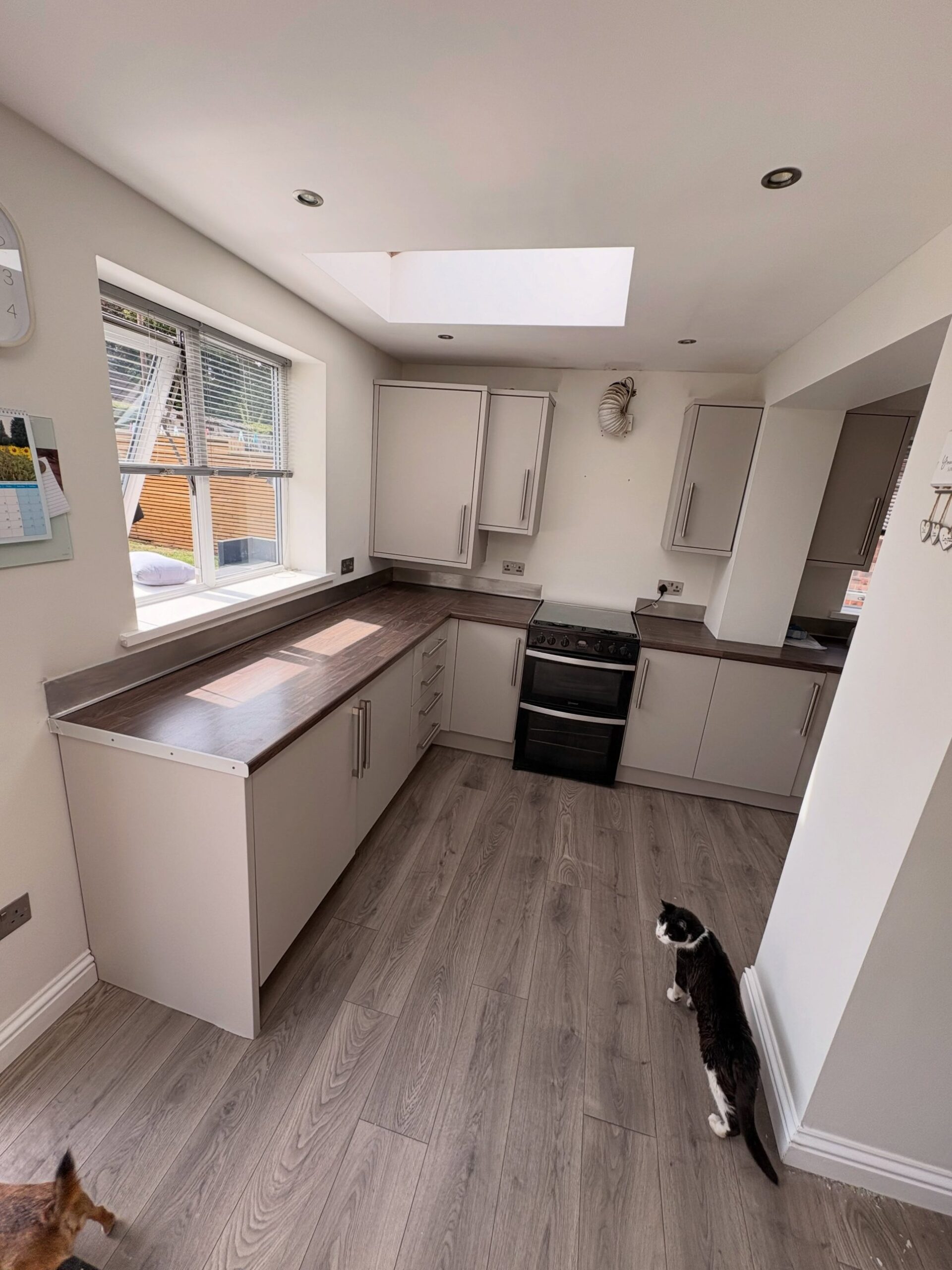 Finished main kitchen sprayed in Purbeck Stone with skylight above, dark walnut counters, oven in the corner and a black and white cat sitting on the floor by the doorway.