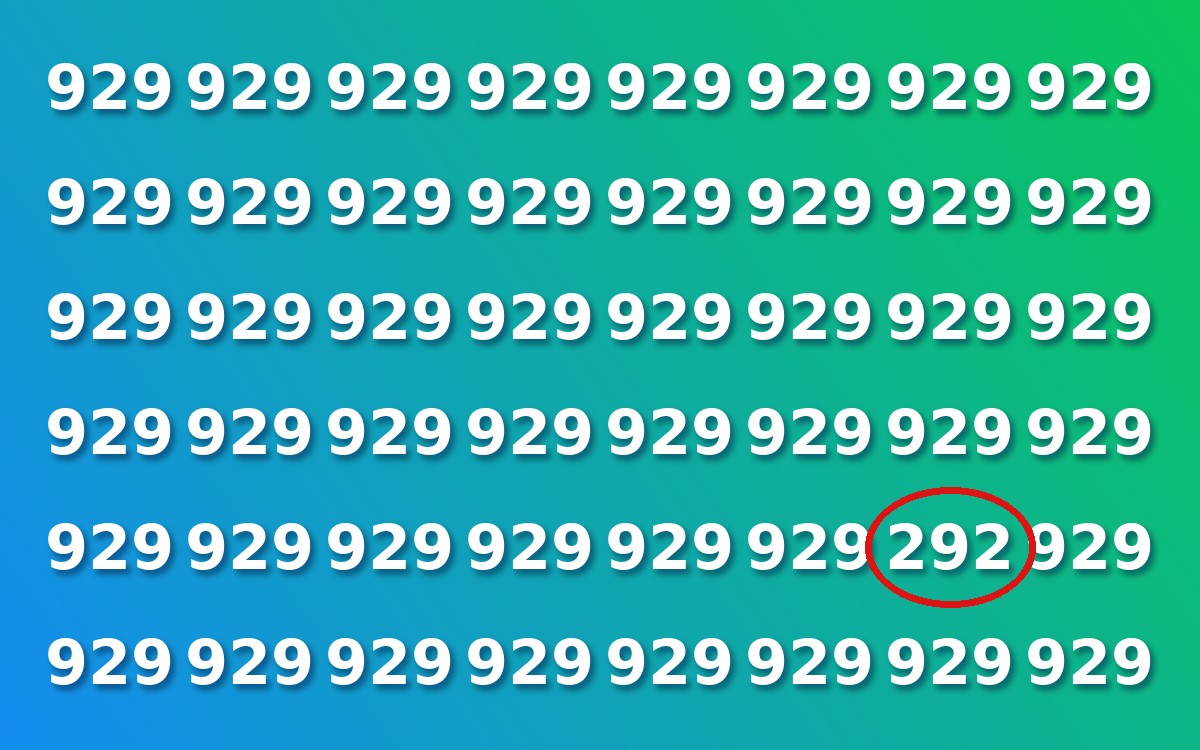 The same grid with the number 292 circled in red on the fifth row, seventh column