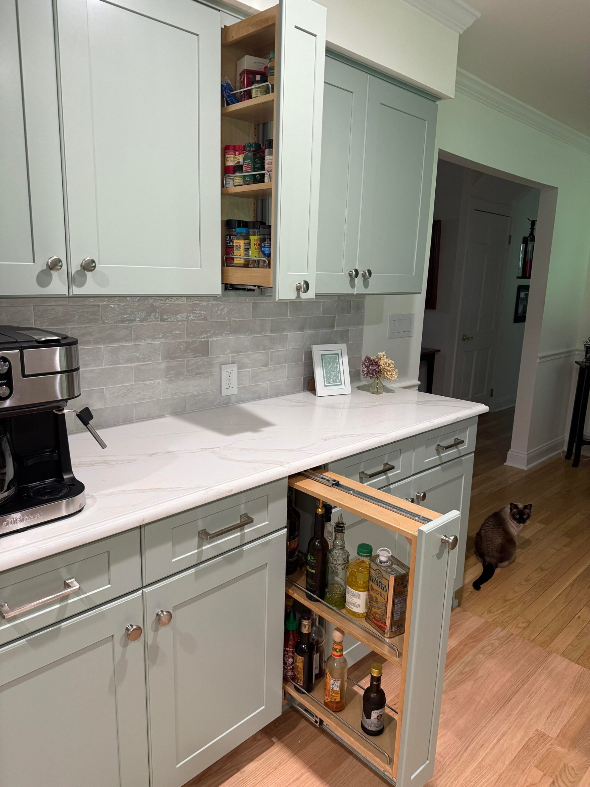 Sage shaker cabinets with a narrow upper spice pullout holding small jars and a lower pullout holding oil and sauce bottles, with a Siamese cat sitting on the red oak floor.