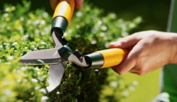Stop Trimming The Hedge At The Wrong Time