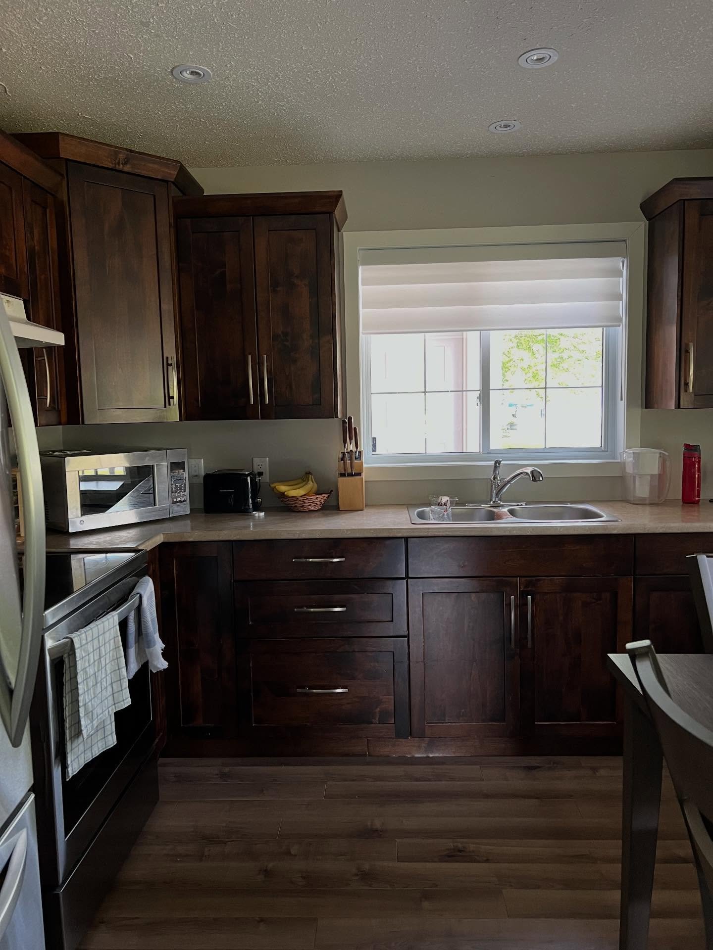 Dark walnut kitchen cabinets around a double stainless sink below a window showing green leaves outside, with microwave, toaster, and bananas on the tan laminate counter.