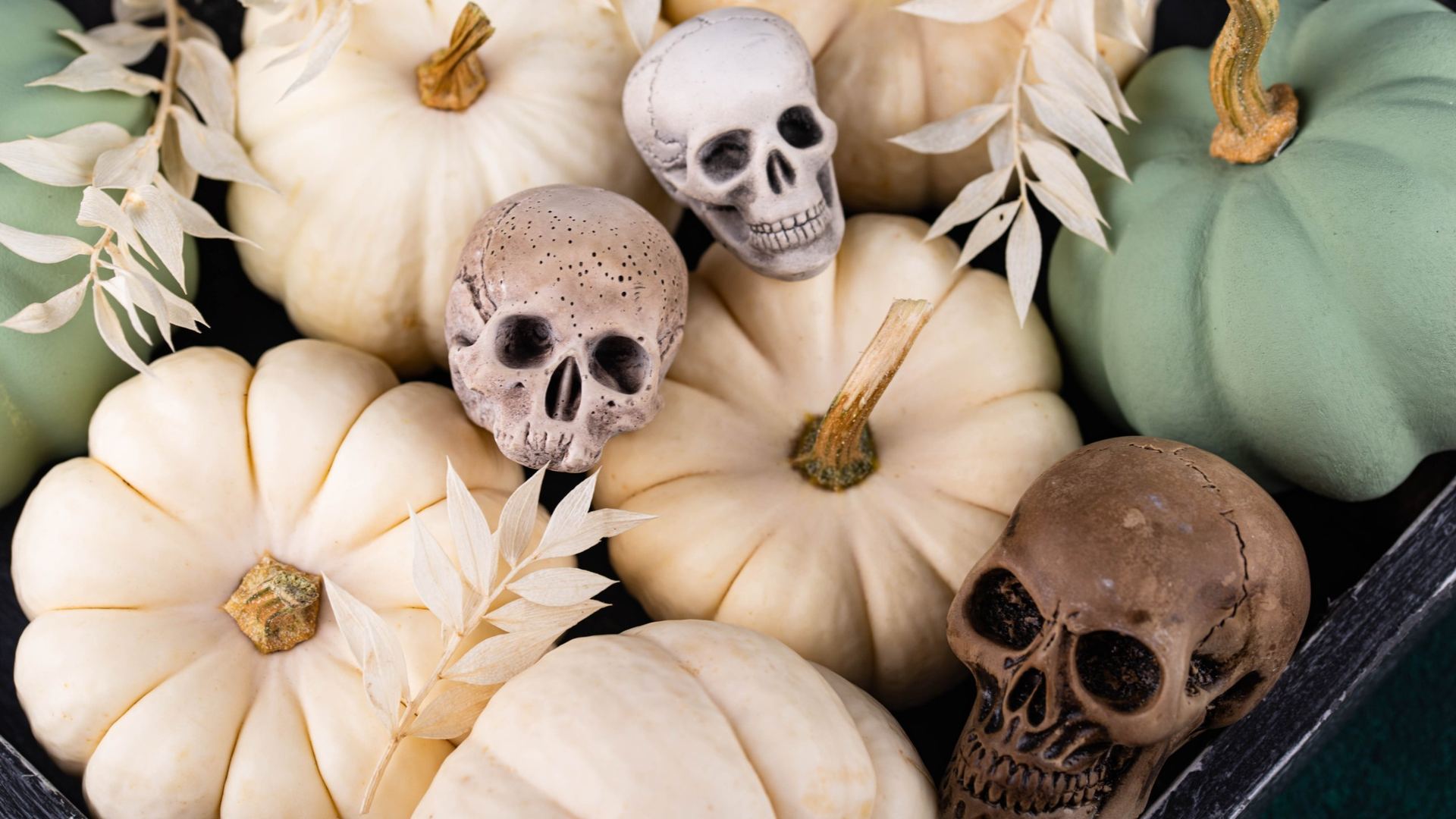 Overhead view of a Halloween centerpiece arrangement with white and sage green mini pumpkins clustered together with three small resin skulls in gray and brown tones, dried leaves and branches tucked between them, all nested inside a dark wooden crate.