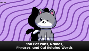 Best cat puns and jokes