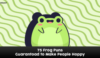 Frog puns to make people laugh