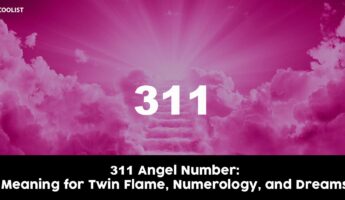 311 Angel Number
