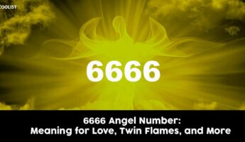 6666 Angel Number