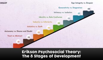 The 8 Stages of Erikson's Personality Theory