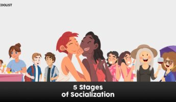 Socialization Stages